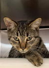 Kenneth: visit him at Petsmart in Lynchburg