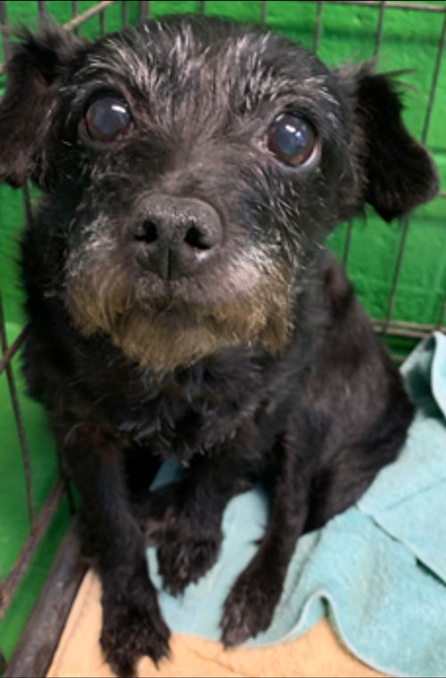 Ember: - At the Shelter