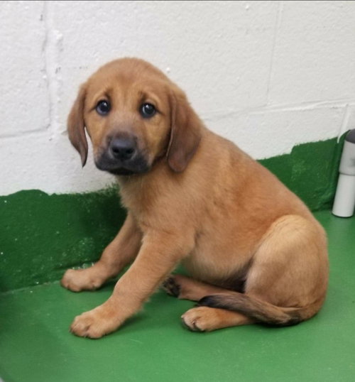 Maxey: Not at the shelter