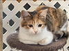 Evie: Visit her at Petsmart