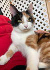 Wynter - Petsmart