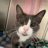 Maya - At the Shelter