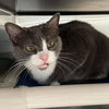 Maya - At the Shelter