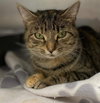 Hunny: Visit at the Lynchburg PetSmart