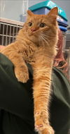 Alvin - Visit at the Lynchburg PetSmart