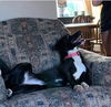 Winnie - Not at the Shelter