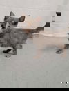 Ethel - Not at the Shelter