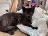 Scatter: Not at the shelter