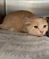 Jordan - Not At the Shelter
