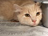 Jordan - Not At the Shelter
