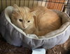 Jordan - Not At the Shelter