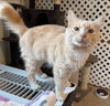 Jordan - Not At the Shelter