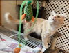 Jordan - Not At the Shelter