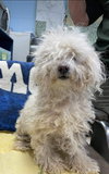 Matthew: Not At the Shelter