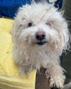 Matthew: Not At the Shelter