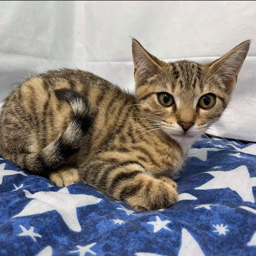 Andy: Not At the Shelter