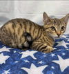 Andy: Not At the Shelter
