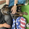 Dominique: Not at the shelter