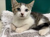 Mike - At the Shelter