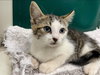Mike - At the Shelter
