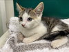 Mike - At the Shelter