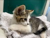 Mike - At the Shelter