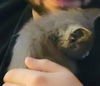 Harry: visit at Lynchburg Petsmart