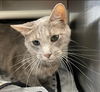 Fred: At the Shelter