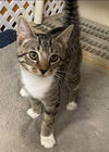 Ambrose: Visit at Lynchburg PetSmart