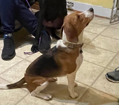 Mary: not at the shelter