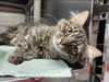 Naomi: Not At the Shelter