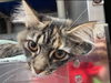 Naomi: Not At the Shelter