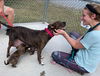 Alana: At the Shelter