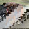 Alana: At the Shelter