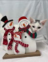 Elfin - At the Shelter