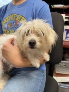 Skye, not at the shelter