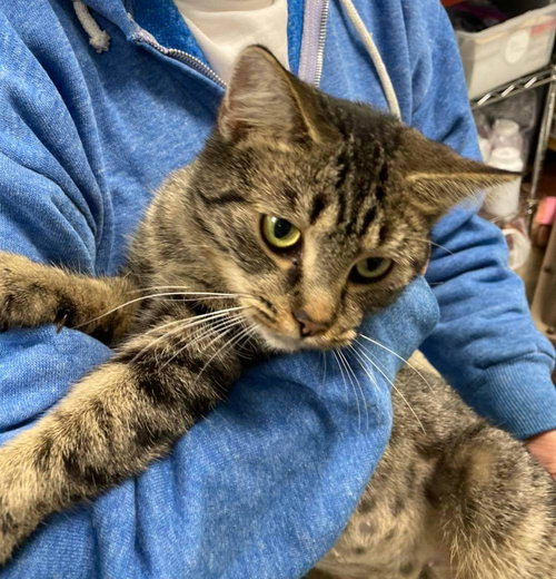 Joanie: Visit at Lynchburg Petsmart