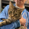 Joanie: Visit at Lynchburg Petsmart