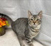 Michael - Not At the Shelter