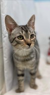 Michael - Not At the Shelter