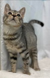Michael - Not At the Shelter