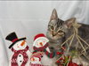 Michael - Not At the Shelter