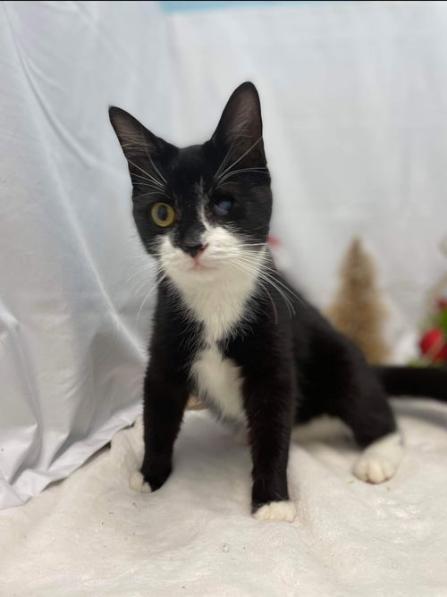 Poppon: at the shelter