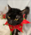 PJ - At the Shelter