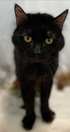 PJ - At the Shelter