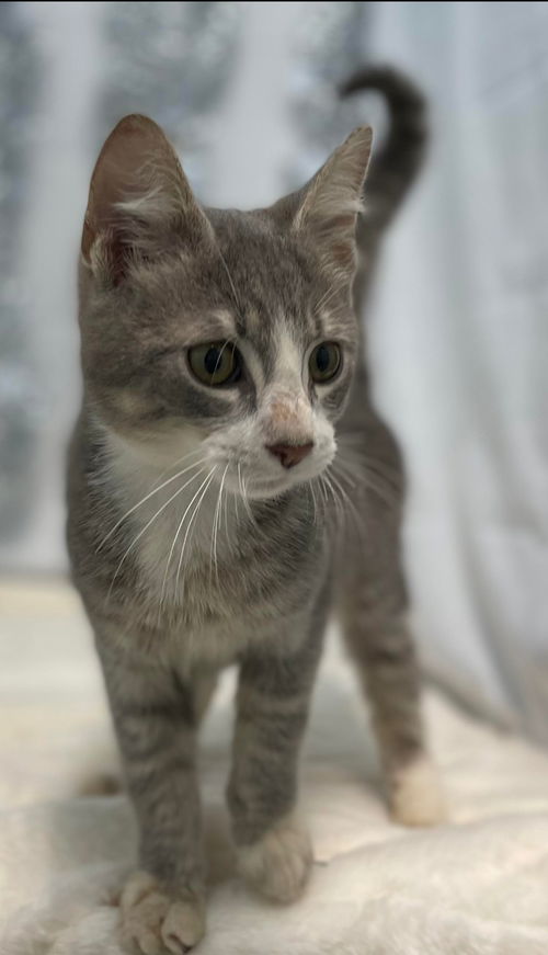 Eli - At the Shelter