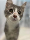 Eli - At the Shelter