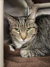 CT:  At the Shelter