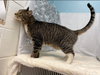 CT:  At the Shelter