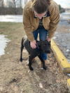 Bear (aka Big Bear)  At the Shelter